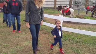 Pumpkin Farm Relleke 2017