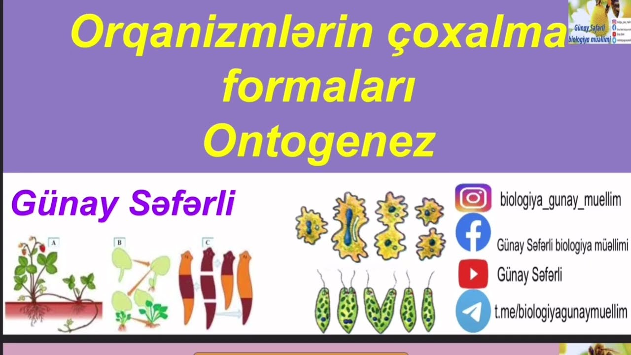 Orqanizmlərin çoxalma formaları.Ontogenez.Qametogenez.Blostomer məsələlərinin asan izahı.