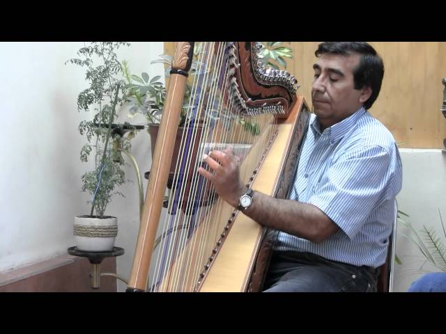 FRANCISCO ORTIZ Y SU ARPA - MELODIA PARA TI class=