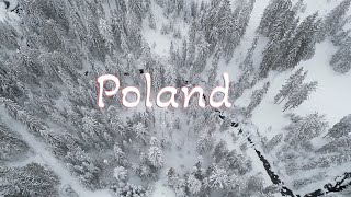 Poland February 2023 🇵🇱 - by drone 4K