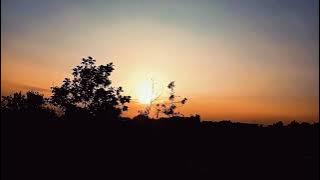 Cinematic Matahari Bersinar | Video Sinematik Alam Pagi hari