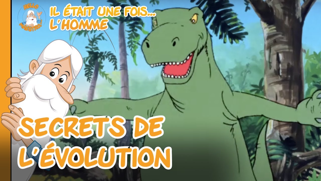 L’Évolution De La Vie Raconte Notre Origine | Il était une fois... L'Homme