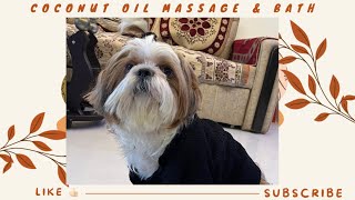 Coconut Oil Massage Bath  | Shihtzu