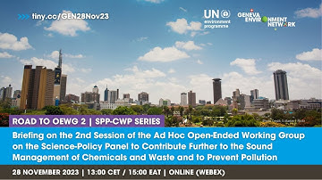 Briefing on the OEWG 2 on the Science-Policy Panel on Chemicals, Waste, and Pollution Prevention