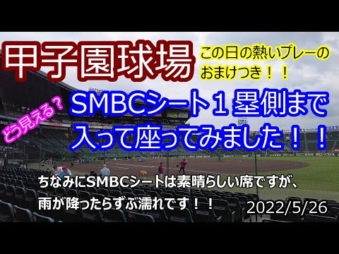 R*k様 6/6 阪神対オリックス　甲子園SMBCシート1塁側　ペアチケット 料金表｜チケット｜阪神タイガース 公式サイト