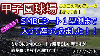 甲子園SMBCシート1塁側に入ってみました！！この席の醍醐味は