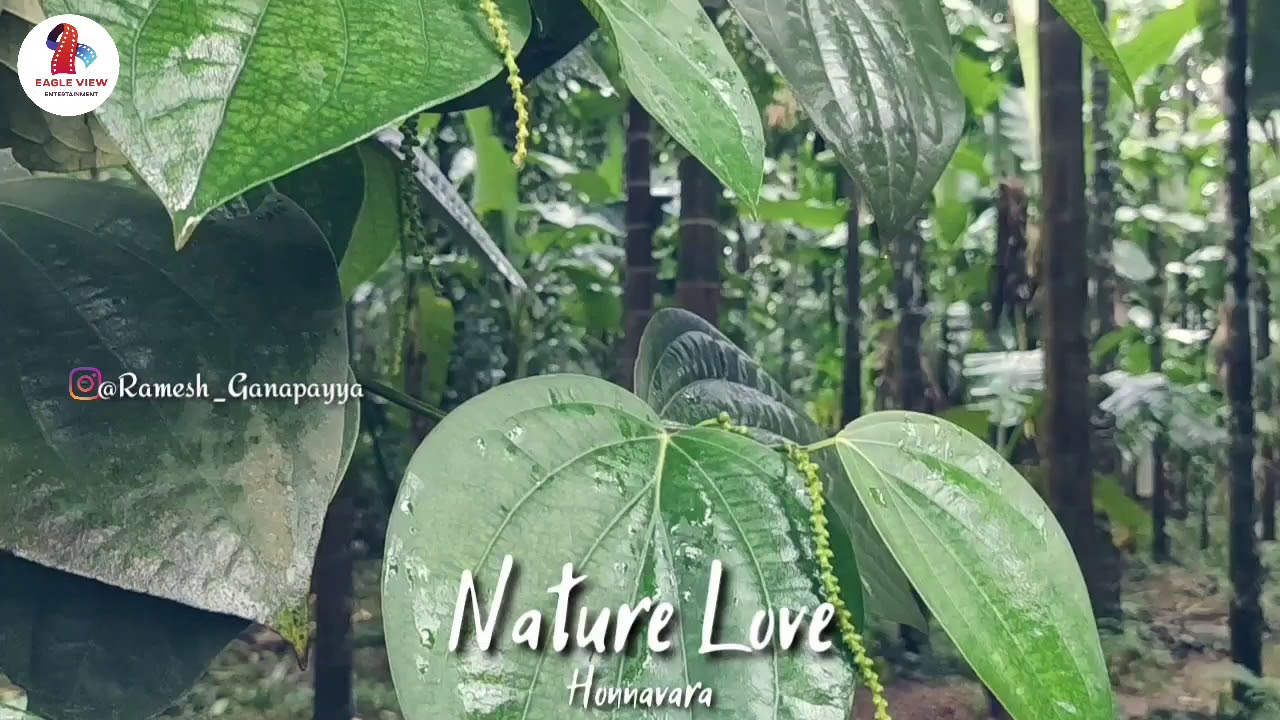 HONNAVARA | Untouched Heaven | Nature Love | ಹೊನ್ನಾವರ