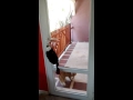 Gato falla al abrir la puerta