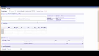 Completing a Web Punch - Workforce Time + Attendance