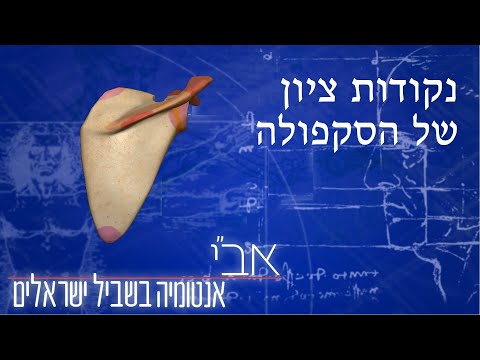 וִידֵאוֹ: במישור עצם השכמה?