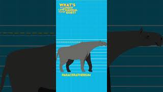 What’s The Largest Land Mammal To Ever Exist? #debunked #kingkong #learningvideos #educationalvideos