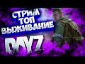 СТРИМ по DayZ Standalone: ВЫЖИВАНИЕ ИЩЕМ ТОП ЛУТ #1 \ Приключения Хеджа и Триплекса