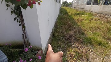 PM39 Bán đất tổ 15 thôn Láng Cát xã Tân Hải thị xã Phú Mỹ tỉnh Bà Rịa Vũng Tàu.