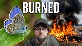 The Fatal Mistake Killing Our Butterflies