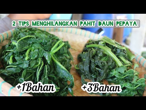 Cara Agar Daun Pepaya Tidak Pahit