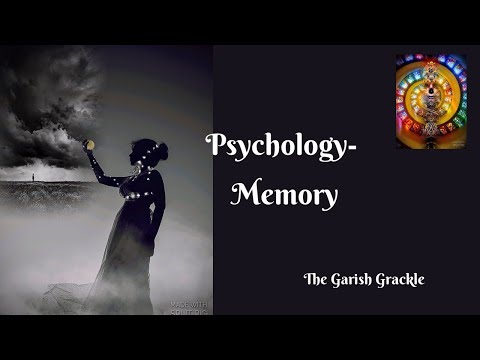 Psychology- Memory