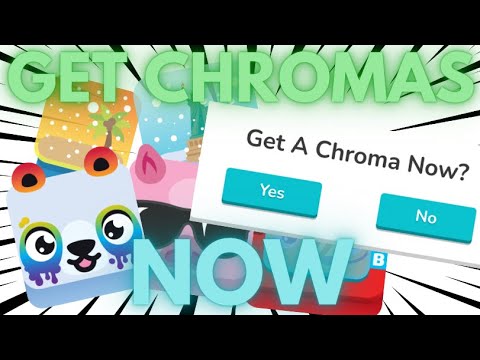 How To Get A Chroma Right Now Guaranteed!!