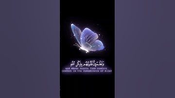 صباح الخير💜حالات واتس اب مقاطع قصيره💜قران كريم الذين آمنوا وتطمئن قلوبهم💜عبد الرحمن مسعد💜بدون حقوق