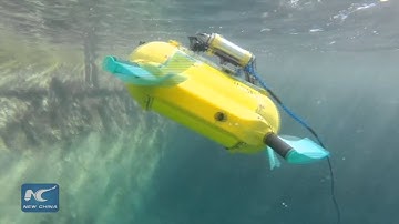 Estonia launches robot for underwater archaeology