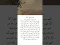 دعاء توسيع الرزق لهم صب علينا الخير صبا صبا ولا تجعل علينا الخير كدا كدا الهم اعطنا من الخير مانرجو