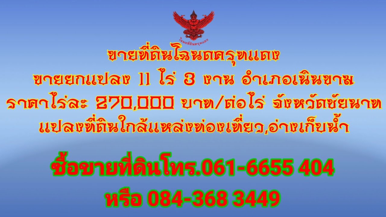 K55ขายที่ดินโฉนดครุฑแดง อำเภอเนินขามจังหวัดชัยนาท ขาย 11 ไร่ 3 งานโทร 061-6655 404