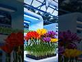 Future Garden viral shorts funny video #shorts