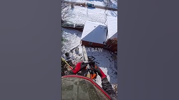 Professional Arborist POV: Topping a Tree 🧗‍♂️