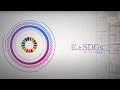 私とSDGs――オンライン座談会①