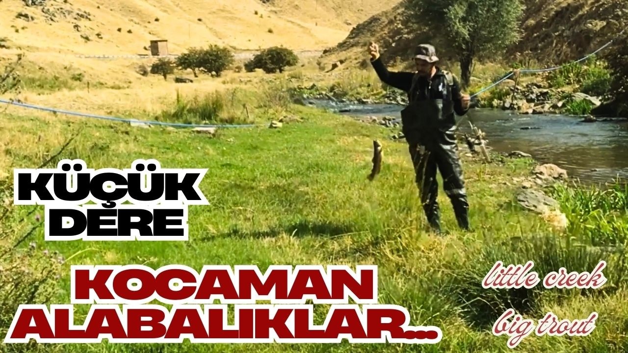 Gizli Derede Dev Balıklar Yakalandı ! EKİP ÇALIŞIYOR !