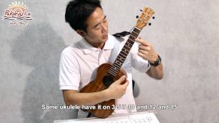 PukanaLa Channel - Lesson 12 Tokada by Bruce Shimabukuro chords