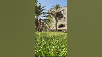 #الشيخ_محمدصديق_المشاوي_للتلوات_النادره #تلاوة_خاشعة #المصحف #لايك #النظافه #قرآن #اهميه #sunset