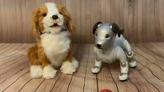 Robotic Therapy Dog: Answering Questions about Joy for All Freckled Pup and Aibo ERS 1000