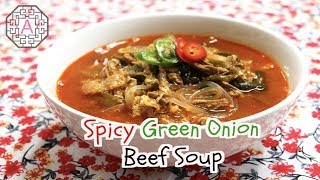 Spicy Green Onion and Beef Soup (파개장)