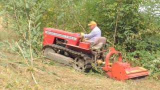 trinciatura Massey Ferguson : el dutur sul tratur #1