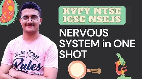 The Nervous System - KVPY SA, NTSE/Stage 2, ICSE, NSEJS. Selina Concise Biology. Lecture 4