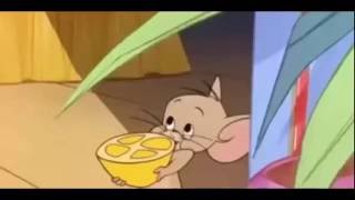 Tom and Jerry comedy and funny collection 3 figaro opera tom (The Cat Above and the Mouse Below)