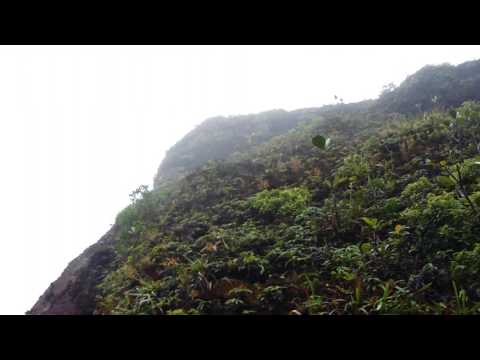 Vlog - Visit to the volcano / Mount Liamuiga St. Kitts
