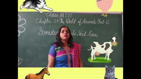 Class 3 EVS Chapter 14 Part 1