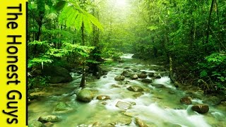 GUIDED SLEEP MEDITATION: Talkdown with Mountain Stream Nature Sounds