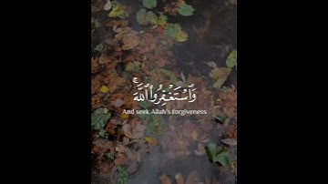 تلاوة خاشعة # « واستغفروا الله إن الله غفور رحيم»
