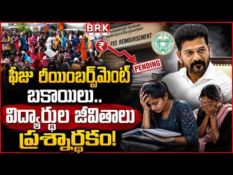 Journalist Madhu | Telangana Fee Reimbursement Issue | @brknewsofficial - TV9
