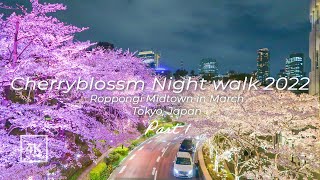 [4K] Japan night walk | Hanami |Tokyo | Cherry blossoms in Roppongi Midtown|東京 夜桜 2022 花見 散歩 六本木