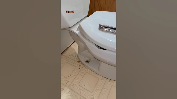 Removing Rusted Toilet Bolts! #tutorial