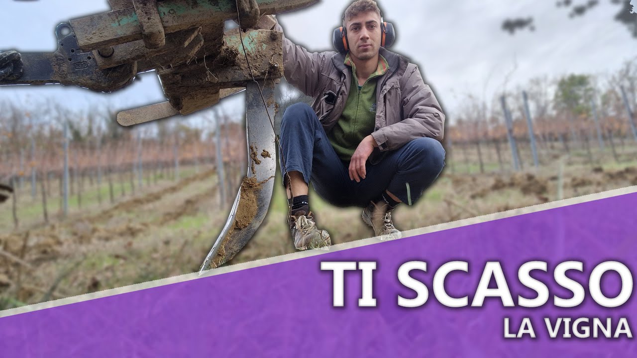 LAVORAZIONE VIGNA 2023