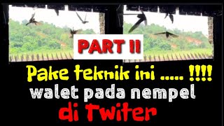 Teknik pemasangan twiter pada LMB, cara mensetting suara panggil, respon walet langsung nempel