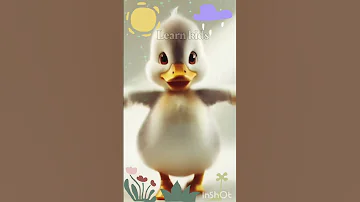 اغنية البطة كاكي كاكي كاكي كا بدون موسيقى اغاني اطفال بيبي العاب بنات Shfa 