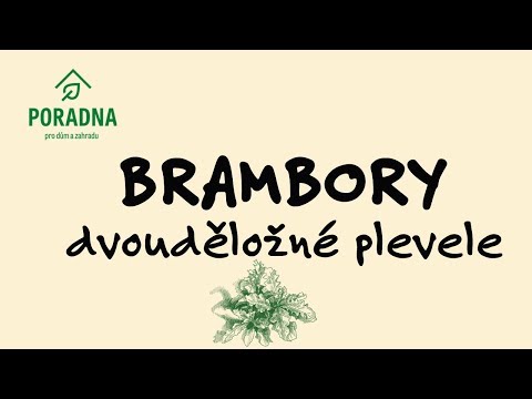 PORADNA PRO DŮM A ZAHRADU - Brambory - dvouděložné plevele