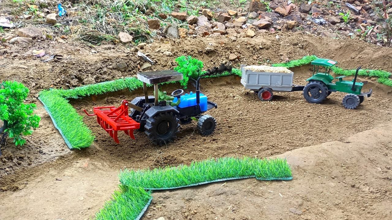 The mini tractor went to the field to show wheat | 