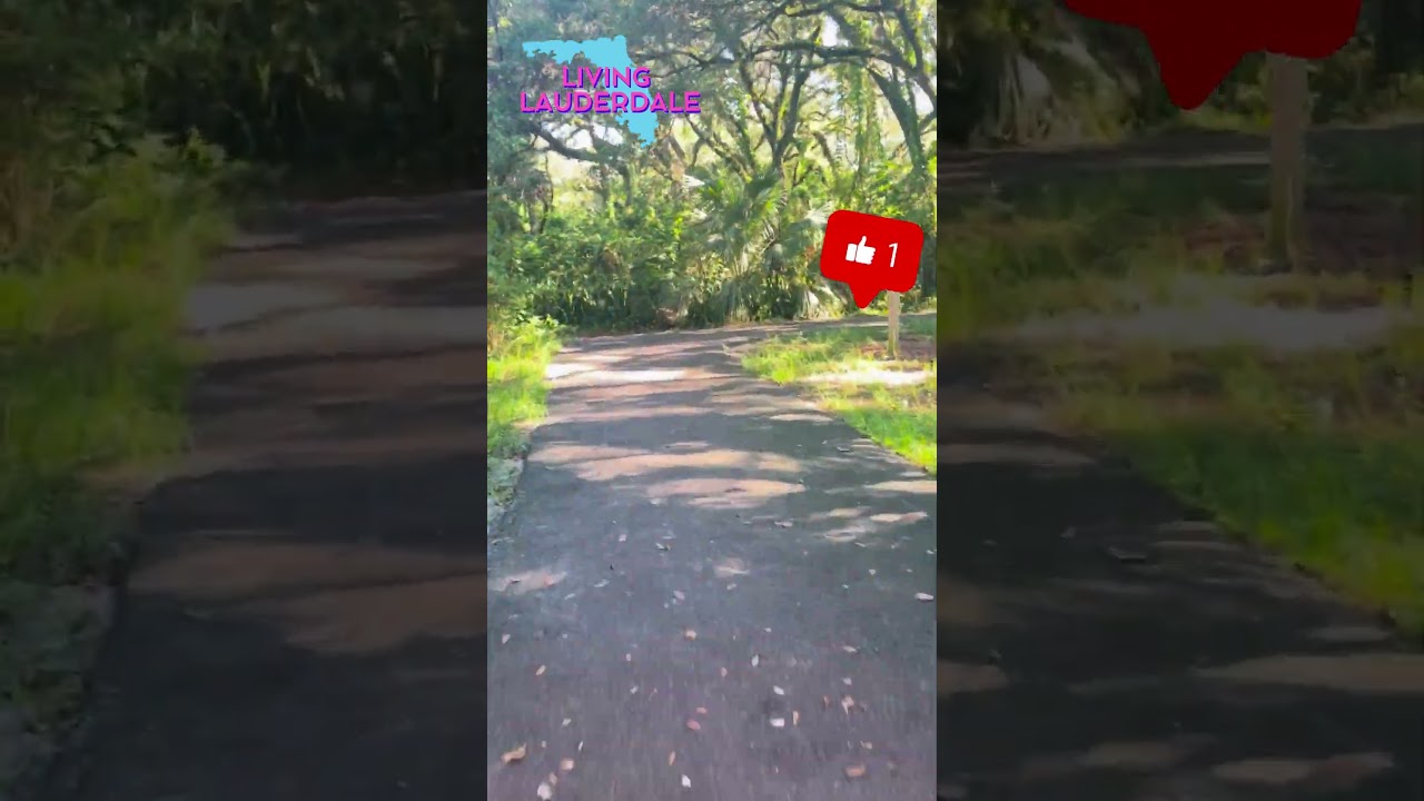 The Secret Walkways Just Outside Fort Lauderdale