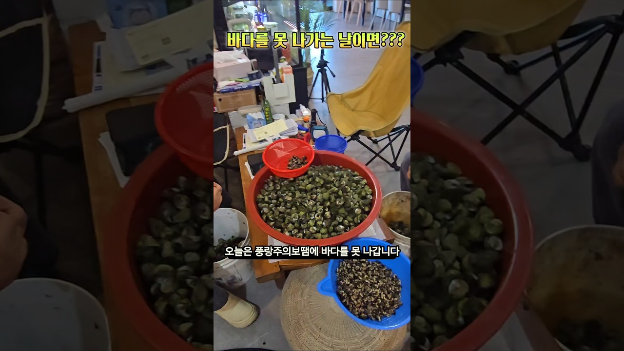 바다에 못가면 뭐하지???  #백령도, #백령도해녀와사위, #해산물, #머루